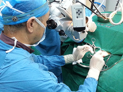 Ԥ�������԰����ϵ���Ч����