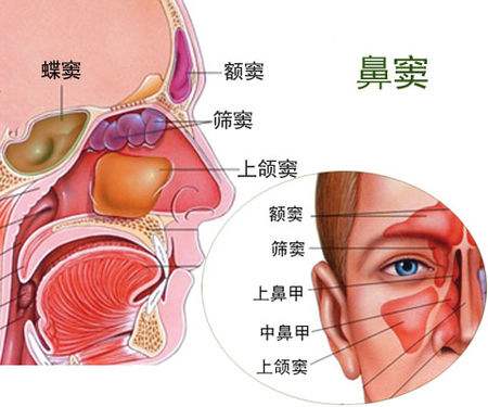 西安新城中大耳鼻喉医院